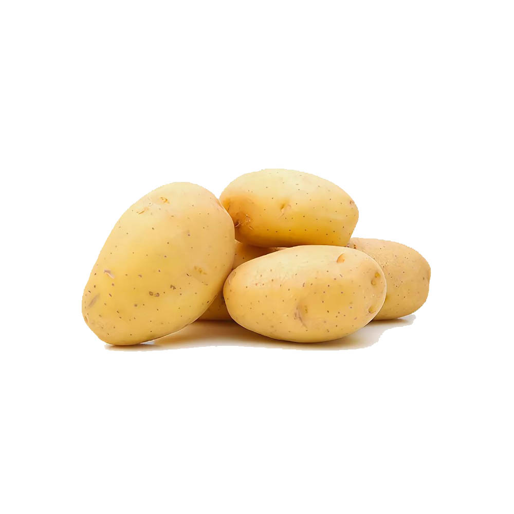 Сорт картошки Коломбо